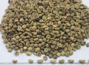 Granos de café Robusta de Vietnam Tamaño 18 Nueva cosecha Green Direct Farms Factory Venta al por mayor Precio bajo Alta calidad-HANFIMEX 0084915196568 - Product Image 5