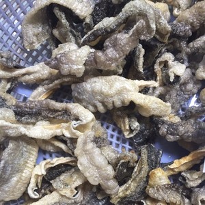 ผิวปลาแห้งจากเวียดนามขายดี/ผิวปลาแซลมอนทอด/MS คุณภาพดีที่สุดลิมา - Product Image 6