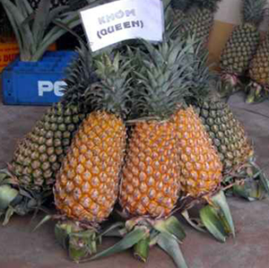 Prix de l'ananas / Prix de l'ananas frais / Ananas frais - Product Image 3