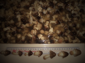 CHAMPIÑONES ENLATADOS EN SALMERA / CHAMPIÑONES ENLATADOS / Sra. Tracy - Product Image 2