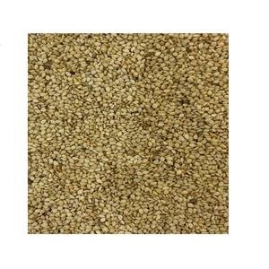 Graines de sésame Gadarif - Product Image 1