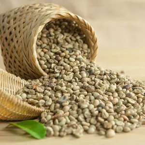 罗布斯塔绿色咖啡豆工厂最优惠的价格0084971054925批发