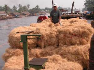 Coconut Fiber from Vietnam with <b>Cheap</b> Price and High Quality (Ms. Holiday) - Product Image 4