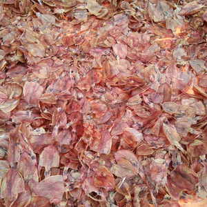 Calmar séché pour soupe / Seiche séchée du Vietnam à prix compétitif - Product Image 1