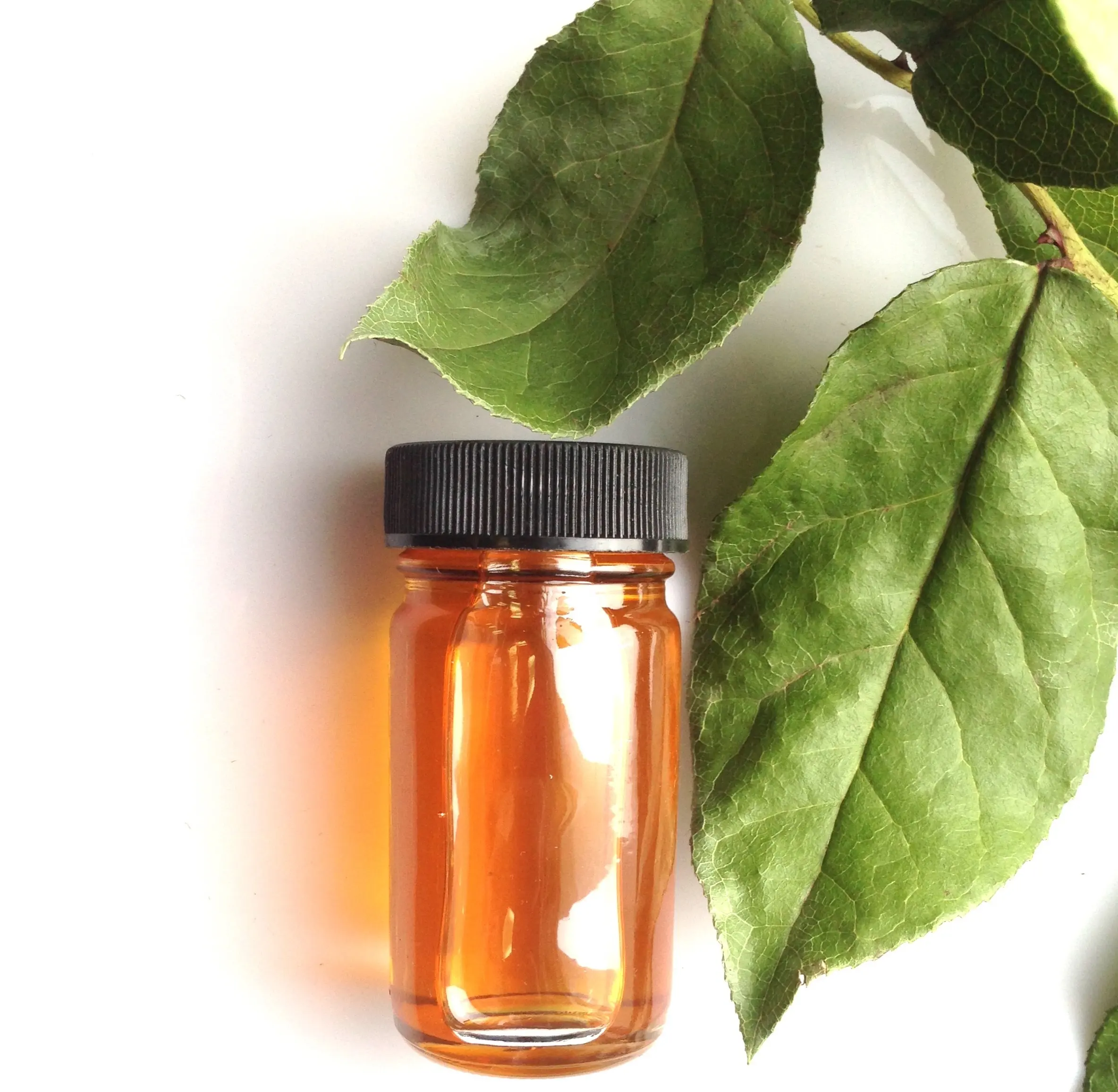 Оптовая цена, эфирное масло листьев корицы для ароматерапии и косметики