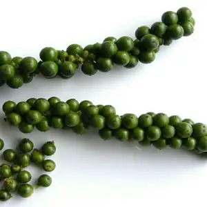 Peppercorn price - Piper nigrum - Green pepper