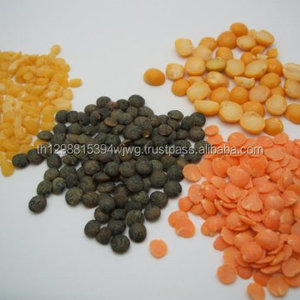 Lenticchie verdi / Lenticchie marroni / Lenticchie nere Beluga - Product Image 1