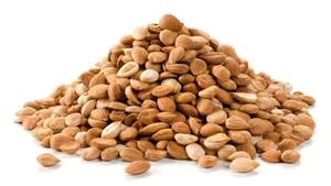 Albaricoques sin Cáscara Orgánicos en Oferta, Semillas de Albaricoque Dulces de la Mejor Calidad, Frutos Secos a Granel sin Azúcar - Product Image 4