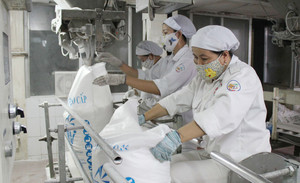 NATIVE TAPIOCA STARCH Sac de poudre alimentaire de qualité industrielle Emballage Tracy Cao 84 969 800 854 - Product Image 5