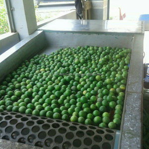 Limón fresco, limón fresco, cítricos verdes - Product Image 5