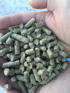 เม็ดเปลือกข้าวโอ๊ตผสมน้ำตาลทรายแดง ขนาด 8 มม. อาหารสัตว์ ผ่านการทดสอบคุณค่าทางโภชนาการ - Product Image 4