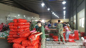 ZANAHORIA FRESCA DE VIETNAM, TAMAÑO GRANDE/ Zanahoria Fresca de Nueva Cosecha/ Proveedor de Zanahoria Fresca en 2020 - Product Image 5