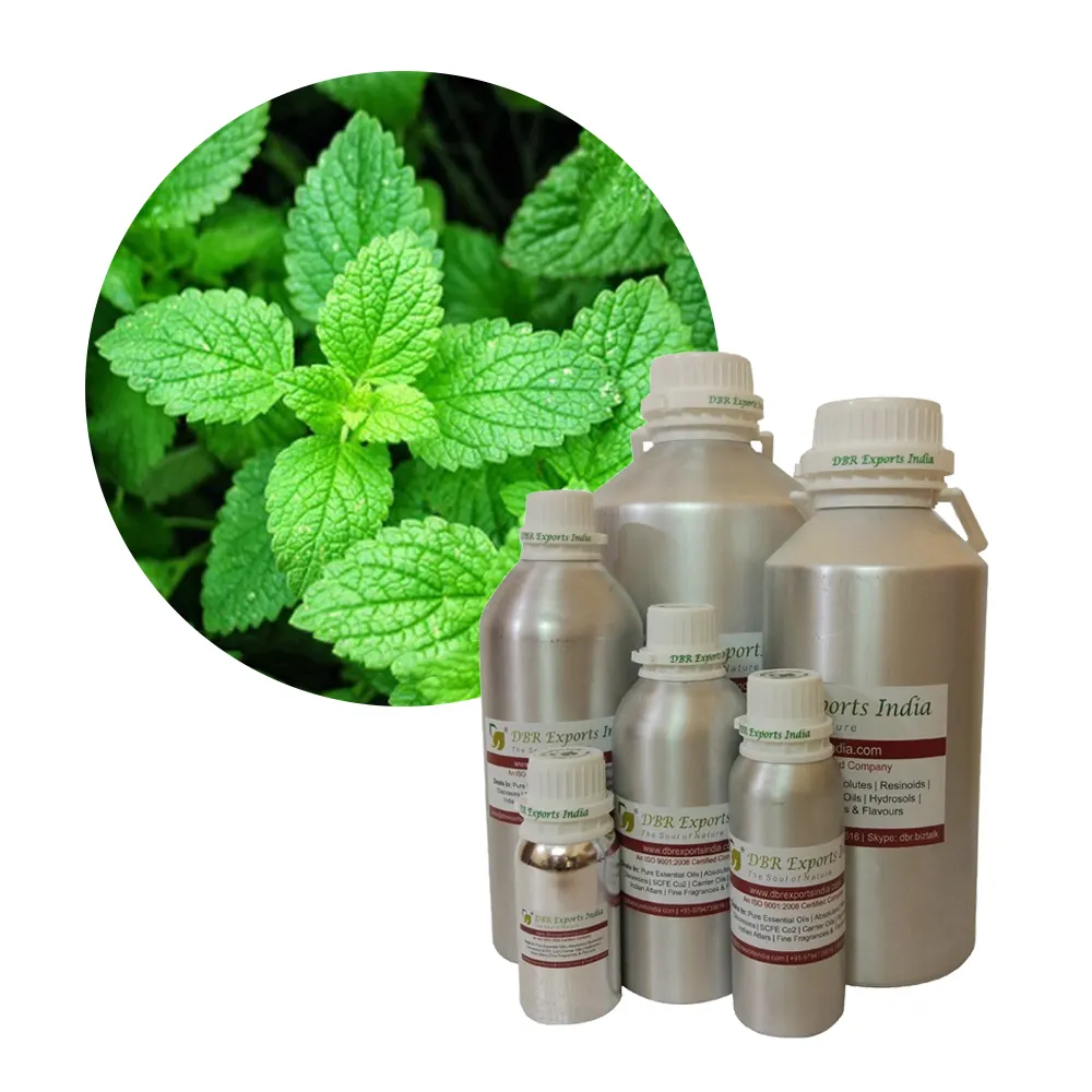 Harga Minyak Spearmint Pemasok Minyak Spearmint Tepercaya dari India Minyak Esensial Spearmint dengan Harga Grosir