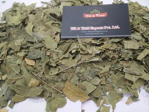 Meilleure qualité 100% naturel Azardirachta Indica (Neem indien) feuille poudre Pharma ayurvédique qualité vide récipient en plastique tambour - Product Image 6