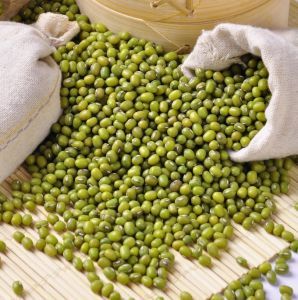 Cheap Dried Bulk Green Mung <b>Beans</b> From South Africa with Best Price - Product Image 2