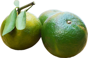 Grossiste en oranges verts du Vietnam - Product Image 5