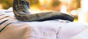 Shofar Pulido de Cuerno de Carnero de Artesanos Reales al por Mayor - Estilo Animal Natural, Tamaño Personalizado, Arte y Coleccionable - Product Image 4