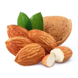 100% minyak Almond manis organik pasokan minyak Almond manis tekanan dingin minyak esensial dengan harga grosir untuk campuran minyak esensial