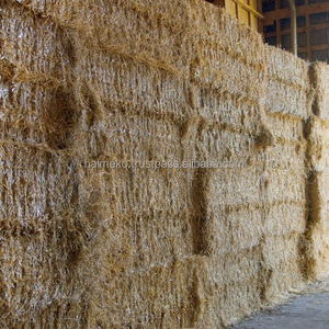 Granulés de paille de mélange de blé et de maïs Halmeko 8 mm jaune clair Aliment pour animaux pour bovins - Product Image 1