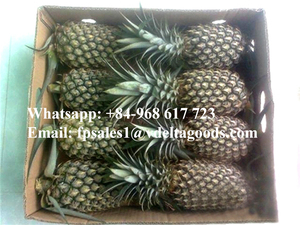 Fruta fresca de piña/piña enlatada - Product Image 6