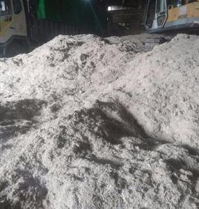 ขายส่งเส้นใยชานอ้อย/ชานอ้อยราคาดีที่สุด - Product Image 5