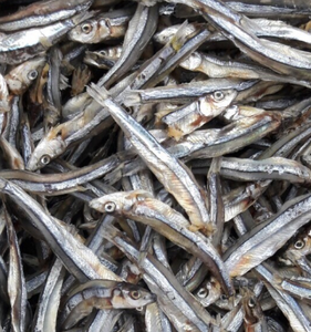 Anchoas Secas - Sprats Secos - Anchoas al Vapor - Sprats al Vapor/ Sra. Lima - Product Image 2