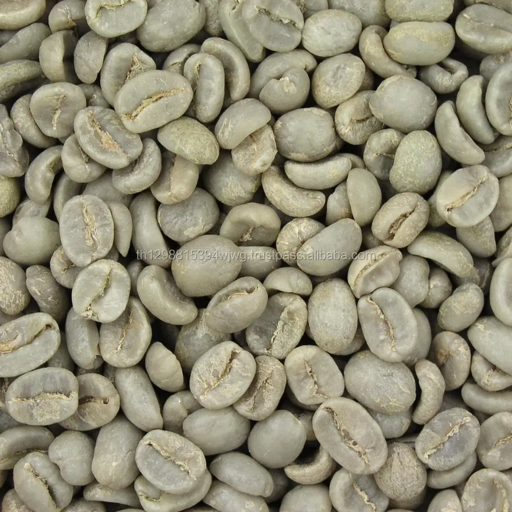 Gayo — grains verts en arabe, de haute qualité, solides, de marque, café