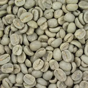 جيد قسط ارابيكا حبوب فاصوليا خضراء قوية جايو العلامة التجارية القهوة