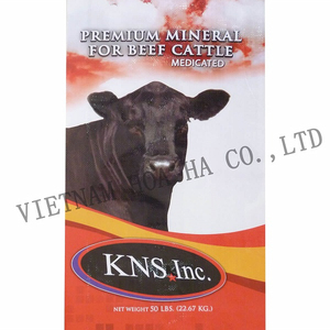 Bolsa tejida laminada de PP, barata, bonita - Product Image 2