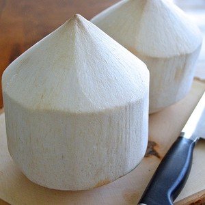 น้ำมะพร้าวอ่อนติดต่อกับ MS วันหยุด - Product Image 5