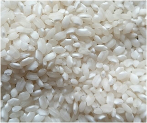 25% , 100% Sortex propre, Grain Long, riz blanc - Product Image 2