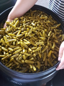 เกอร์กินในกรดอะเซติก 180 กิโลกรัม ในถังขนาด 260 ลิตร - Product Image 3