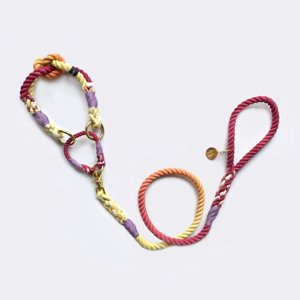 Summer Ombre <b>Collar</b>, Custom Martingale <b>Collar</b>, Pastel Pet <b>Collar</b> - Product Image 1