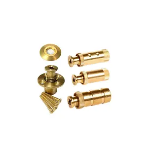 Best Swimming Pool Brass Anchor Supplier India