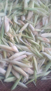 Hierba de limón seca - Product Image 4