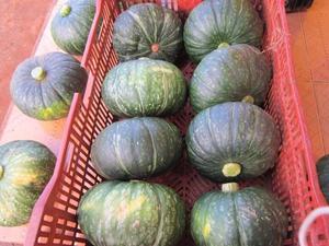 Citrouille fraîche Taille 1kg 2kg pour l'exportation 2024 - Product Image 6