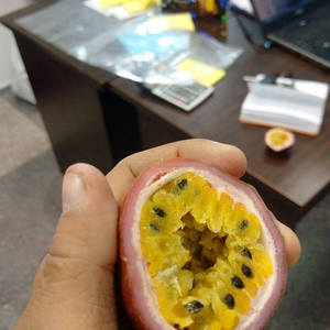 FRESH PASSION ผลไม้/แช่แข็ง PASSION ผลไม้สำหรับเกาหลีตลาด2020 - Product Image 2