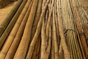 ไม้ไผ่สำหรับสวนและตกแต่งบ้าน-คุณภาพสูงจากเวียดนาม - Product Image 6