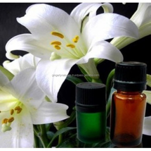 Indian Exporter of Hedychium <b>Oil</b> - Product Image 2