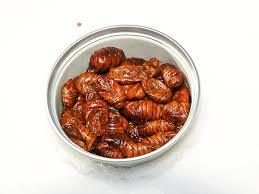 PUPAS DE GUSANO DE SEDA, LARVAS DE GUSANO DE SEDA, BEONDEGI - Product Image 5