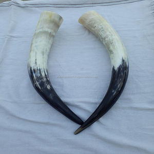 Cuerno para beber de la mejor calidad, 100% Natural, hecho por Buffalo Horn - Product Image 6