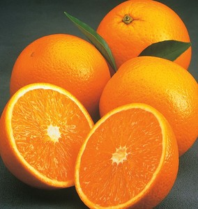 Alta Premium Fresh Valencia Naranjas Fresh 100% Natural Pure Healthy Valencia Orange En venta - Product Image 1