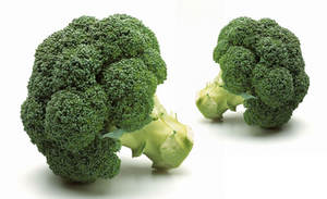 Huile de graines de brocoli biologique pure: huile de support de haute qualité pour les soins de la peau et des cheveux-Prix de gros disponibles" - Product Image 5