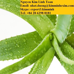 Feuilles d'aloe VERA, 1 pièce - Product Image 4