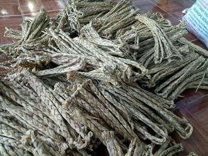 Cuerda de Jacinto de Agua Seca Barata Marca Ggn Modelo Jeny de Vietnam para Agricultura WhatsApp +84 911 585 628 - Product Image 3