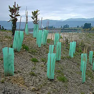 Hoja protectora de plantas corflute de plástico corrugado de pp para árbol, venta al por mayor