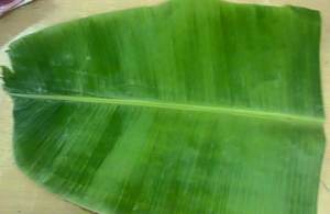 100% Feuilles de Bananier Frais Naturelles Origine Vietnam Vert Diamètre 35cm - Product Image 3