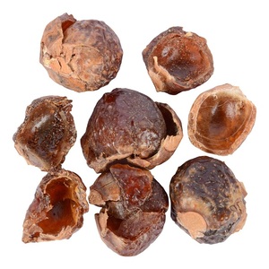 Extracto orgánico de alta calidad de Sapindus Mukorossi, polvo de saponina de soapberry certificado Halal disponible en envases de vidrio - Product Image 1