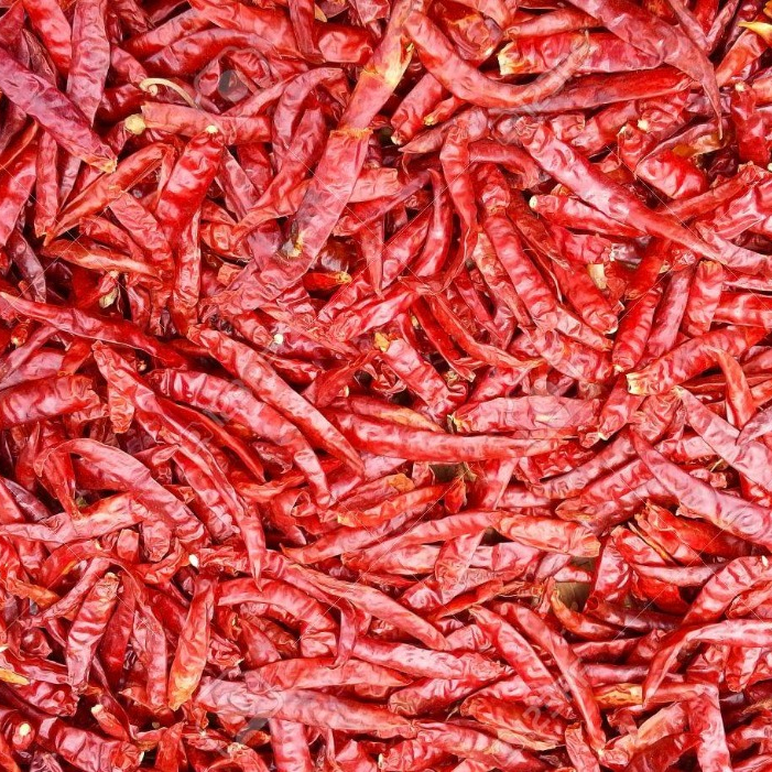 Chilli/chiili seco/pimienta Chili 2020/Whatsapp + 84 845 639 639