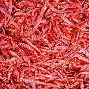 Chilli / Dried chiili / Chilli Pepper